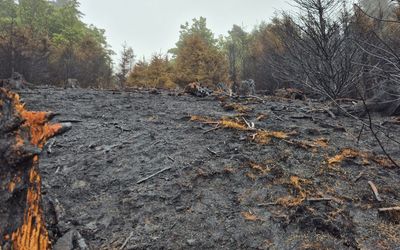 Macclesfield Forest wildfire finally extinguished after six-day multi-agency response